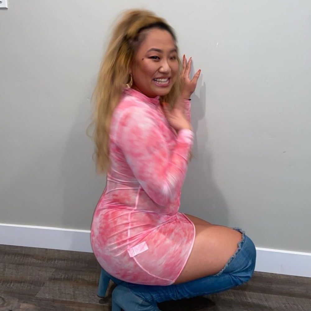 Pink Pretty Little Thing Mesh Dress (size 8)